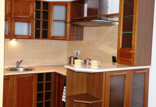 a kitchen with wooden cabinets and a sink at Warszawa Zacisze in Warsaw