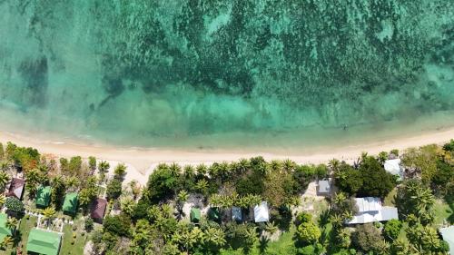 المناظر الطبيعية بالقرب من الفندق