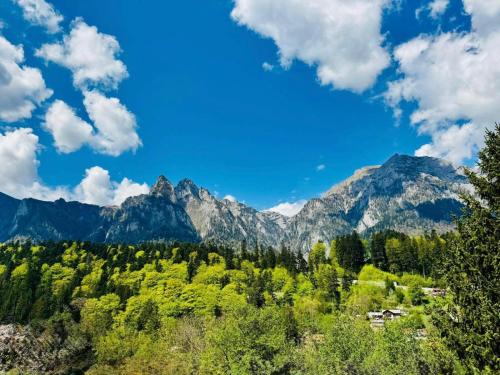 Naturlandskabet i nærheden af villaen