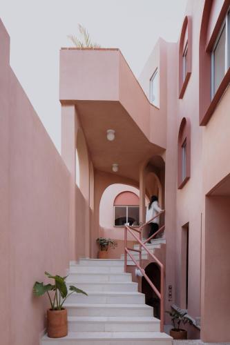 a staircase in a building with plants on it at Casa Rosa in Querétaro