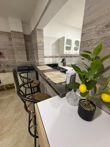 a kitchen with a table with a plant on it at New Central Apartment 101 in Ocaña