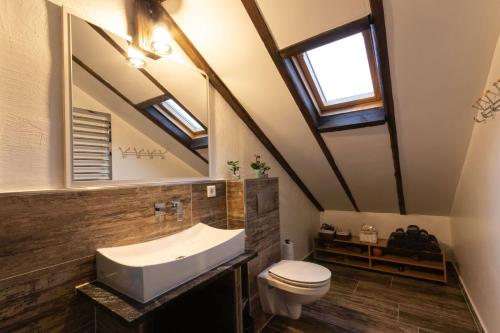 a bathroom with a sink and a toilet and a mirror at Haus-Elena in Bestwig