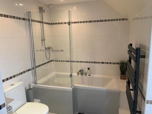 a bathroom with a shower and a tub and a toilet at Swn yr Coed in Sennybridge