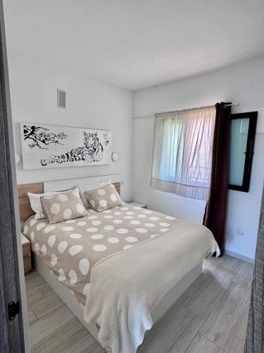 Maspalomas Lago 36 photo 2