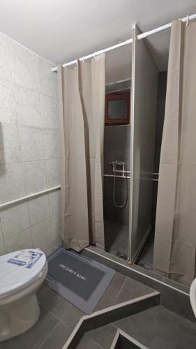 a bathroom with a shower and a toilet in it at Čiča 1 in Dobanovci