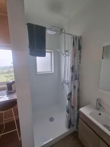 a white bathroom with a shower and a sink at Little Hurst House - Escape the Ordinary in Inglewood