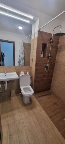 a bathroom with a toilet and a sink and a shower at Casa CDC in Şimnicu de Sus