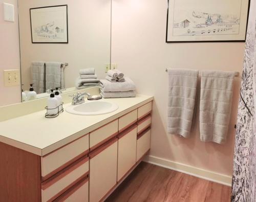 a bathroom with a sink and a mirror at Magic Mountain Ski Resort in Londonderry