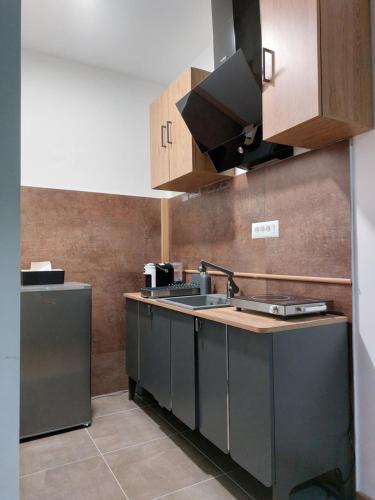 Η κουζίνα ή μικρή κουζίνα στο Jagodina studio CRNJANSKI