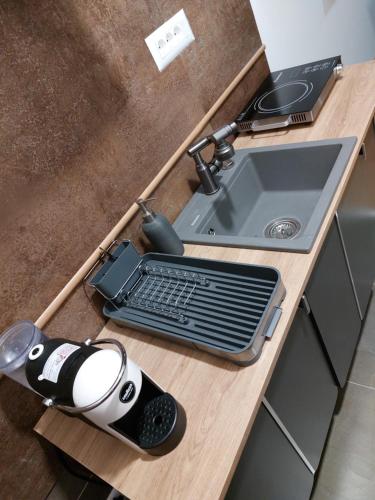 Η κουζίνα ή μικρή κουζίνα στο Jagodina studio CRNJANSKI