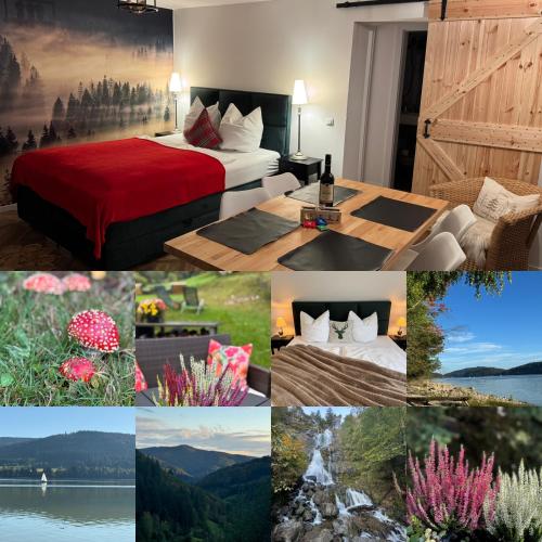 a collage of photos of a hotel room at BergOase-Apart am Feldberg in Feldberg