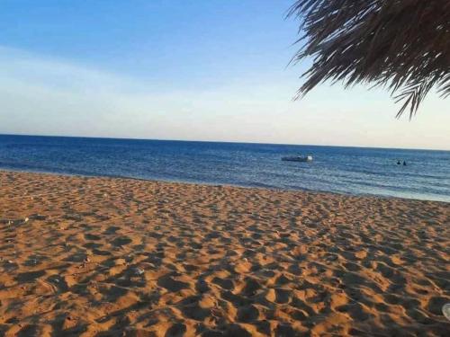 a sandy beach with a view of the ocean at Wonder Land Hotel in Ras Sedr