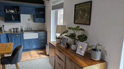 a kitchen with blue cabinets and potted plants on a counter at The Owlery Alnwick in Alnwick