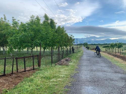 Ποδηλασία στο Culaj's campsite ή στη γύρω περιοχή