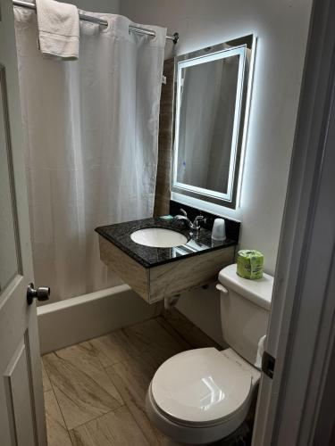 a bathroom with a toilet and a sink and a mirror at Ashford Motel in Ashford