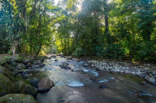 Naturlandskabet i nærheden af villaen