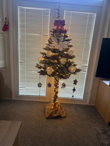 a christmas tree in front of a window at Prestige Static Caravan on 5 Star Holiday Park in Cheswick