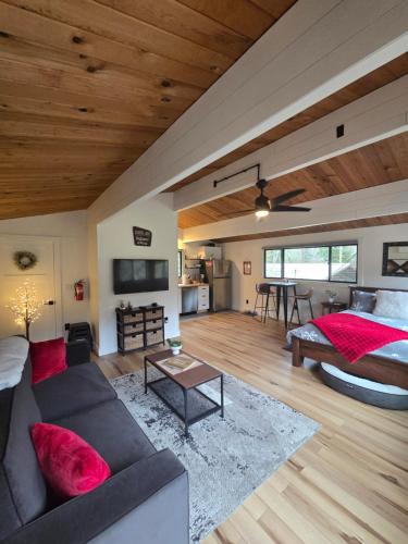 TV a/nebo společenská místnost v ubytování A Restful Studio Near a Creek and Forest - Pet Friendly