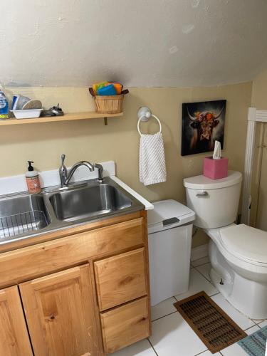 een badkamer met een wastafel en een toilet bij The Desert Farm in Escalante