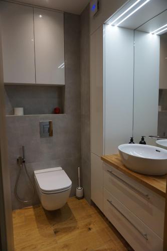 ヴィエリチカにあるVIP Apartments Victoriaの洗面台、トイレ、鏡のあるバスルーム