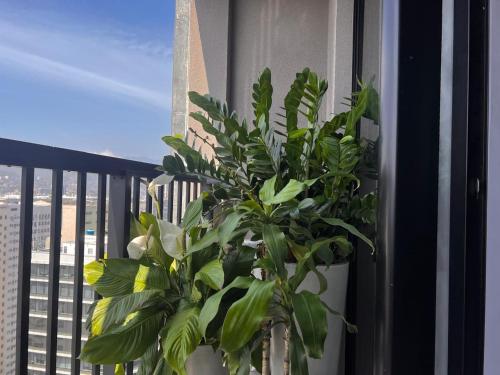 شرفة أو تراس في Luxuoso Studio no Rio com Vista para o Cristo