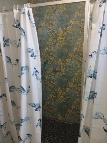 a bathroom with a shower curtain in front of a wall at Včelín - Camp pod kaštany in Morávka