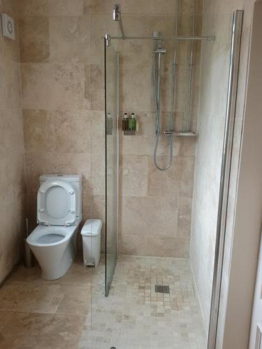 un bagno con wc e doccia in vetro di Bonkle House a Wishaw
