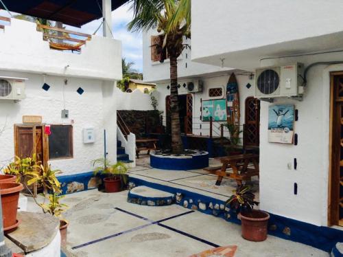 una casa con un patio con una palmera en Penguin Hostel, en Puerto Ayora