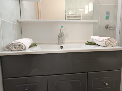 Ένα μπάνιο στο Notre-Dame-de-Monts - Apt spacieux 76m² - 6 pers - Animaux admis - Parking - FR-1-540-327