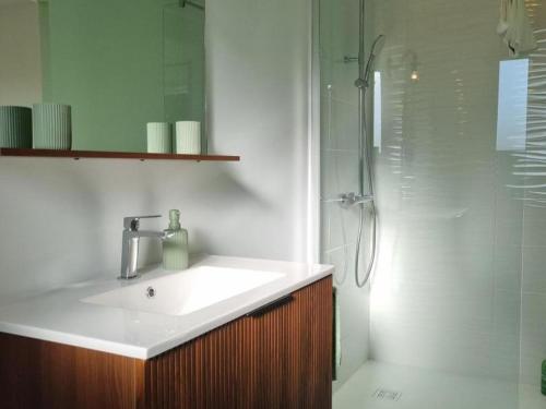 un baño con lavabo y ducha en Gîte spacieux 12 pers à Saint-Germain-Laval - Confort et charme - FR-1-496-378, en Saint-Germain-Laval