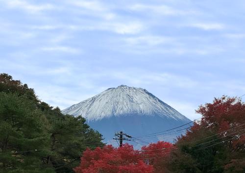 a mountain in the distance with trees in the foreground at 9stay 富士河口湖 in Fujikawaguchiko