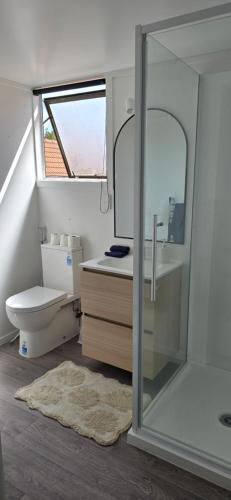 a bathroom with a toilet and a sink and a mirror at Baden Lodge Motel - PRIVATE SPA Bath in Rotorua