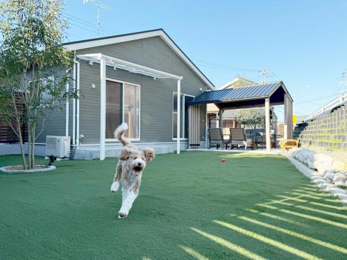 a dog running on a lawn in a yard at VILLA BLUEOCEAN AWAJIYA SOUTHヴィラブルーオーシャン淡路屋south in Awaji