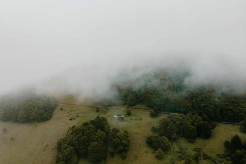 een luchtzicht op een bos in de wolken bij Tiny Oscar in Robertson