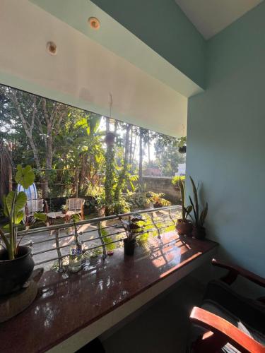 Κήπος έξω από το GingerLime Surf and Bakery House