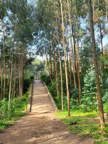 Ubucuti Gorilla Lodge