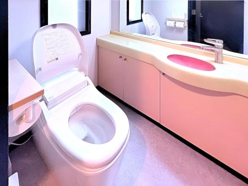 a bathroom with a toilet and a sink at Spacious Family Stay Shinagawa-Kokoro House in Tokyo