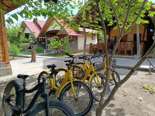Катание на велосипеде по территории MAHADING cottages или окрестностям