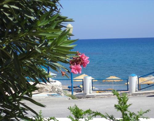 Φυσικό τοπίο κοντά σε αυτό το διαμέρισμα