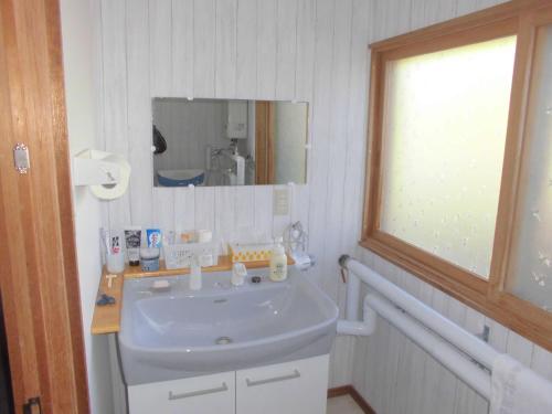 a bathroom with a sink and a mirror at プチキャンプ場おちぼの郷 in Furano