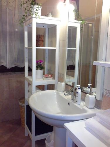 a bathroom with a white sink and a mirror at B&B Happiness in the Country in Brescello