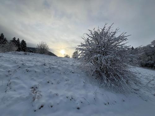 Το Alte Försterei Wildenthal τον χειμώνα