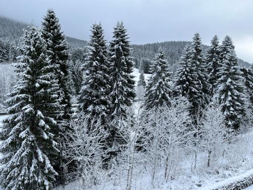 Alte Försterei Wildenthal v zimě