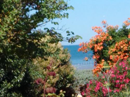 a view of the ocean through the trees at Villa de la Cible in Saint-Martin-de-Ré