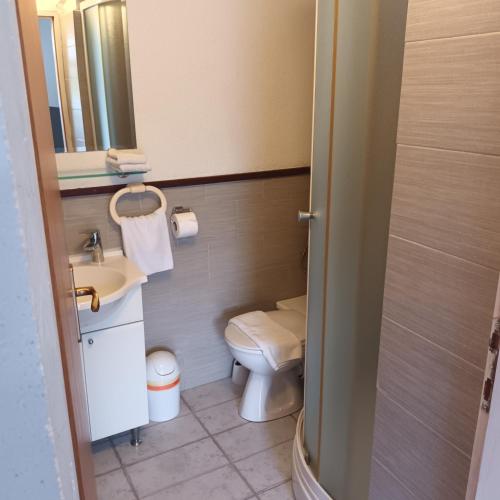a small bathroom with a toilet and a sink at Apartments Duras in Gruda