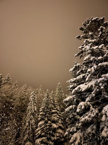 Przytulne Apartamenciki tuż przy Termach i Parku, nieopodal szlak na Turbacz, GPN, KGP v zimě