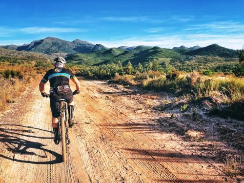 الضيوف المقيمون في Agapanthus garden cottage