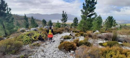 المناظر الطبيعية بالقرب من بيت الضيافة