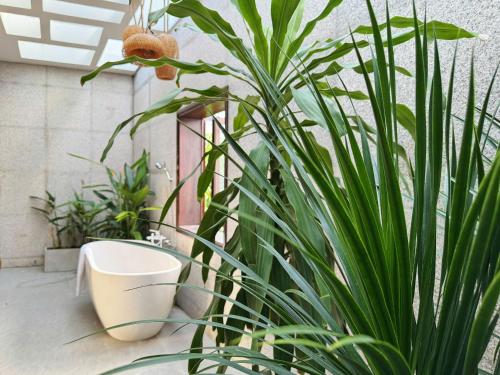 Κήπος έξω από το Le Home Phan Rang