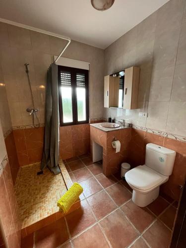 a bathroom with a toilet and a shower and a sink at Casa de mis sueños Castril in El Batán